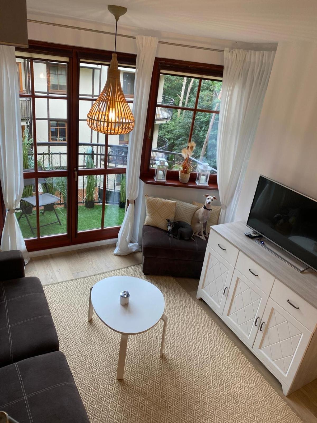 Bialy Apartment